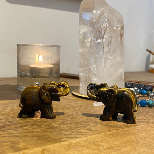 Eléphant en Œil de Tigre - Rheamethyste